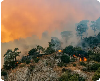 Wildfire/Smoke
