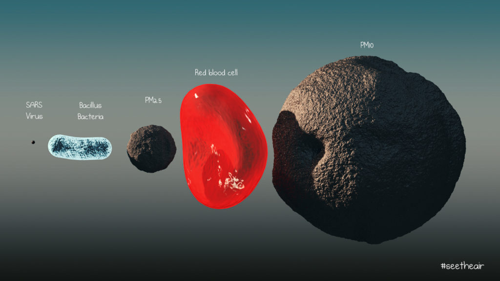 PM2.5 Particle Size Virus