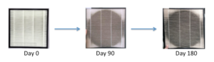 longevityprogression