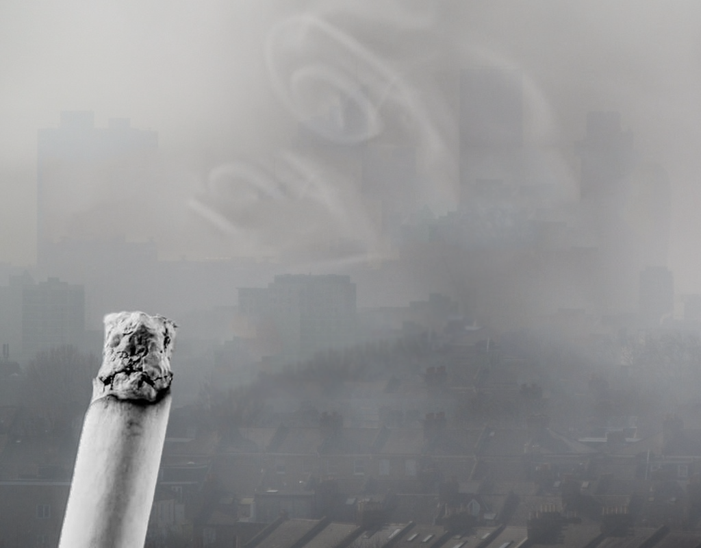 smoking cigarette meaning Cigarette smoke and oxidative stress