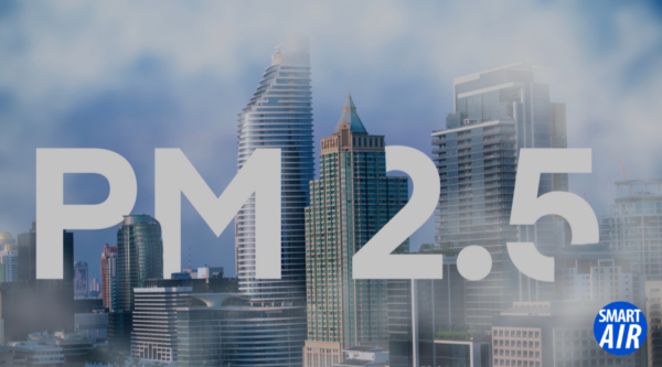 Particle Air Pollution: The Difference Between PM2.5 and PM10 – Smart Air
