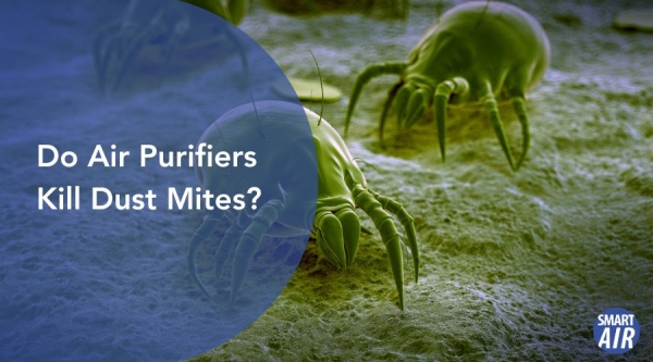 can air purifiers kill dust mite?