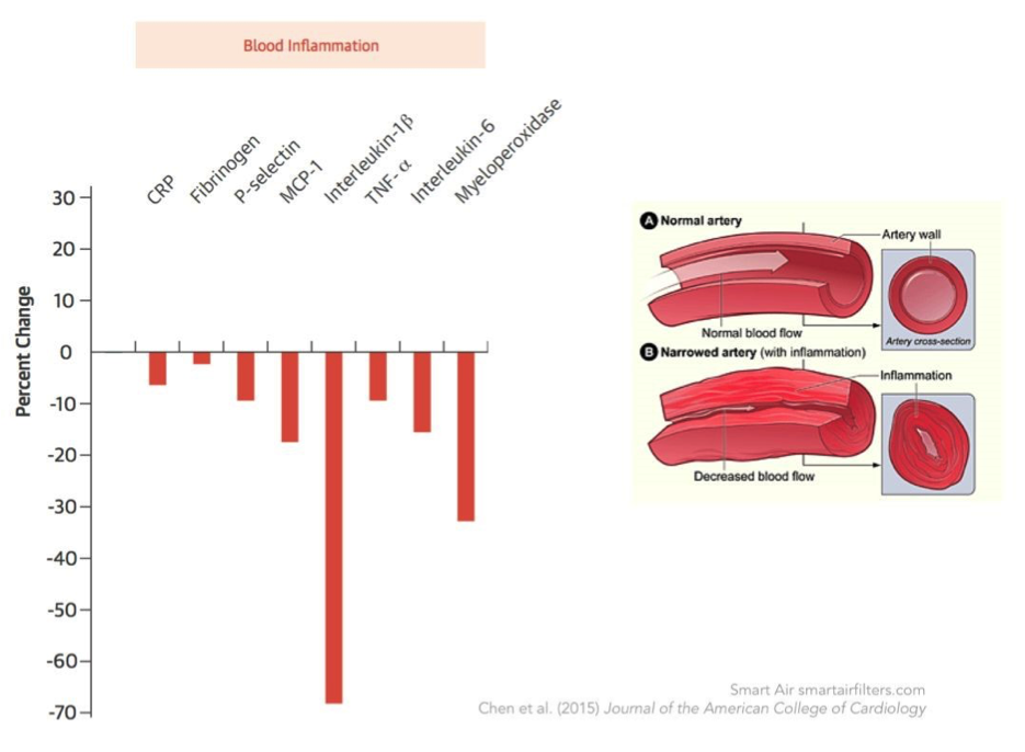 Air pollution affects on health and blood circulation