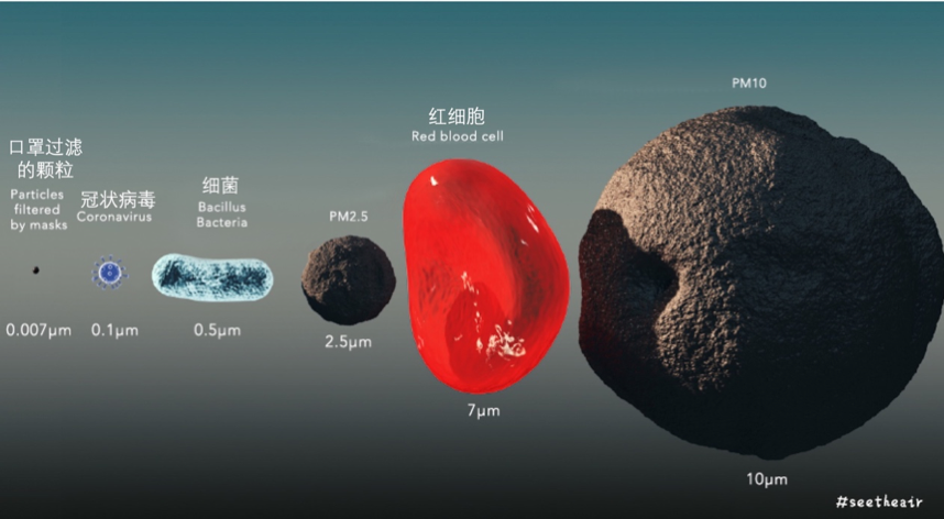新型冠状病毒颗粒大小