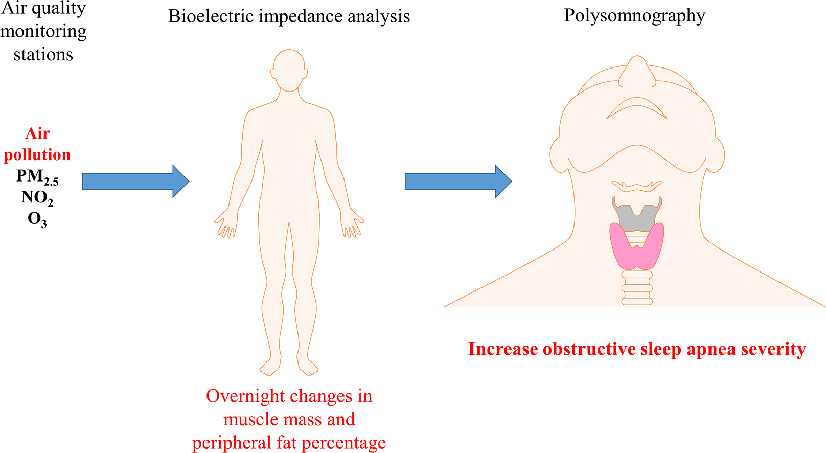 Air pollution causes sleep apnea