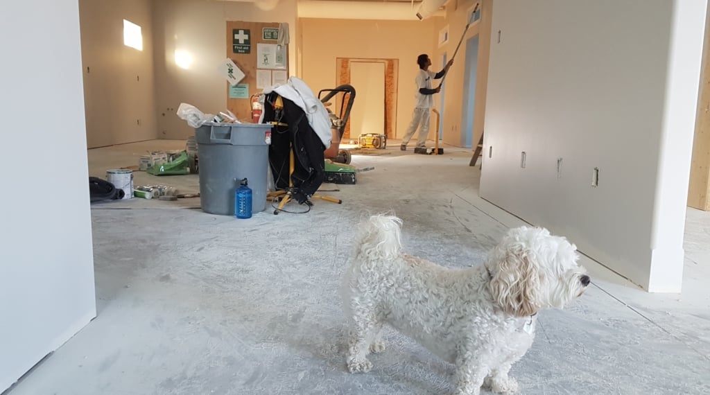 common indoor air pollutants