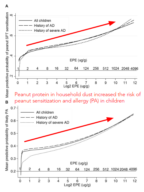 more peanut protein in household dust increased the risk of peanut sensitization and allergy (PA) in children