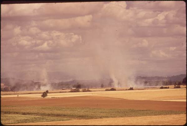 grass seed burning field