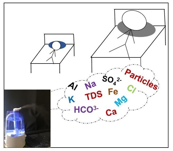 Some Humidifiers will Put Minerals from the Water into the Air