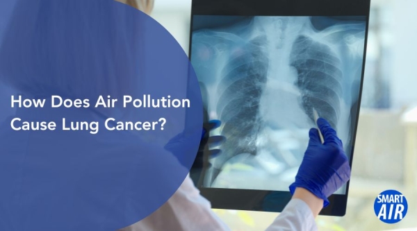 How does air pollution cause lung cancer