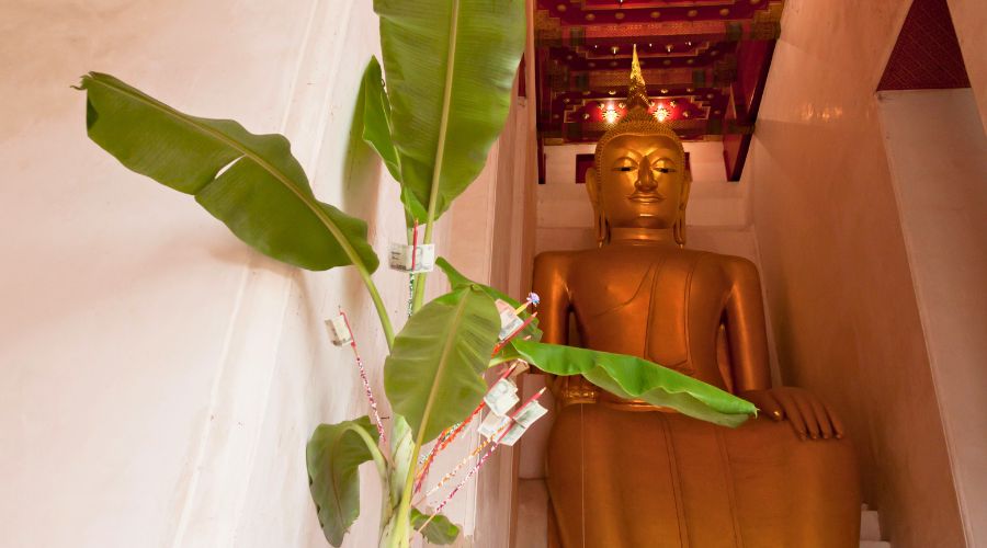 Suphan Buri, one of the least polluted cities in Thailand