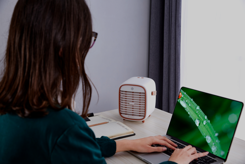 Smart Air QT3 Portable Air Purifier