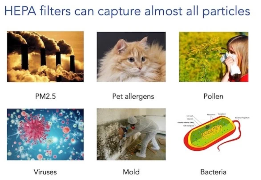 particles captured by HEPA filters