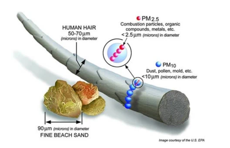 Sizes of particles