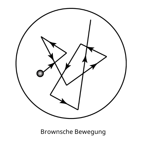 Brownsche Bewegung