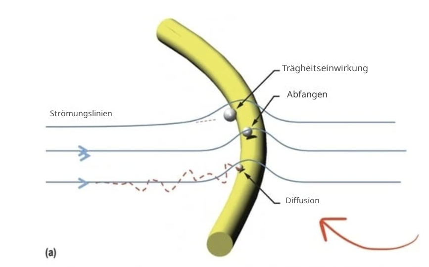 Strömungslinien