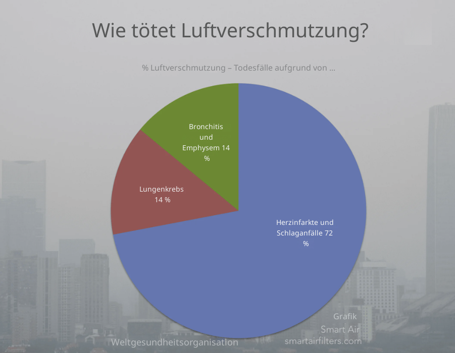Die häufigsten Todesursachen von verschmutzter Luft