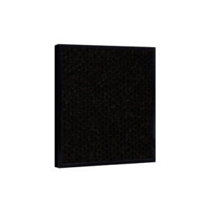 Cannon Carbon Filter